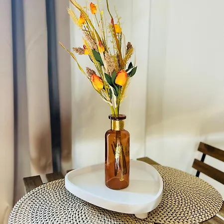Les Orangers 公寓式酒店 *